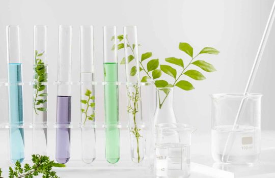 Company Specializing In Software Solutions For Plant Breeding & Variety Testing.2